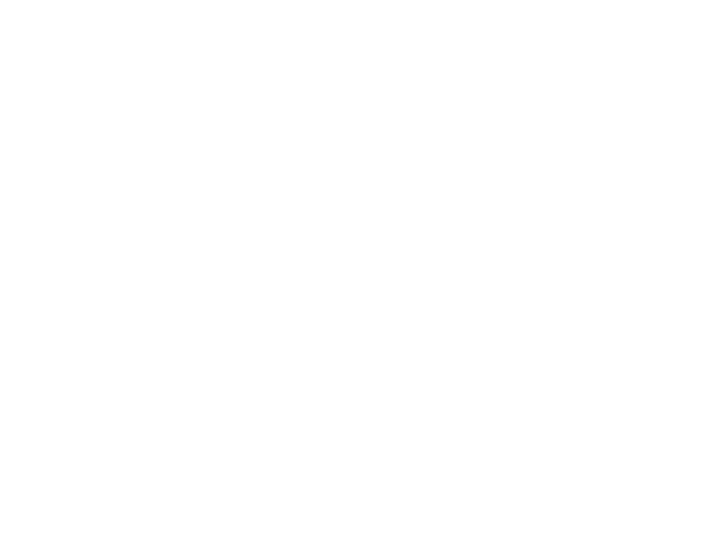 Aviri Assessment